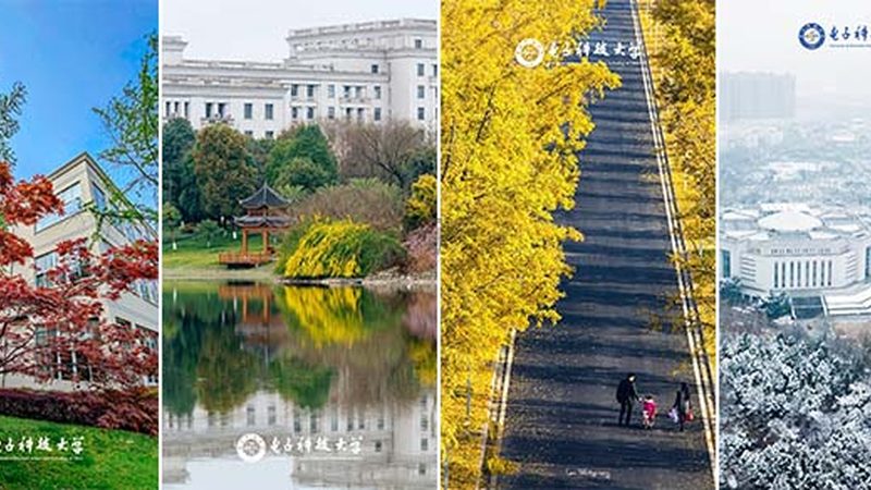 9014管脚区别图解析：揭秘两种电子元件的差异