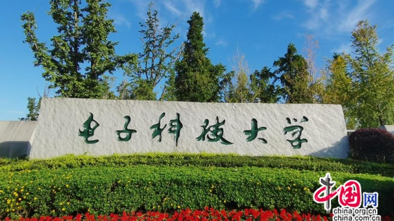 继电器模块定制：揭秘其优缺点与选型要点**