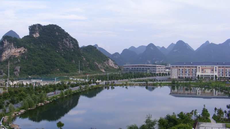 东莞市电子元件生产厂家直销，揭秘元件选购的关键因素